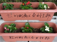 300524 花1.jpg