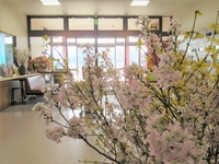 030319 桜4.JPG