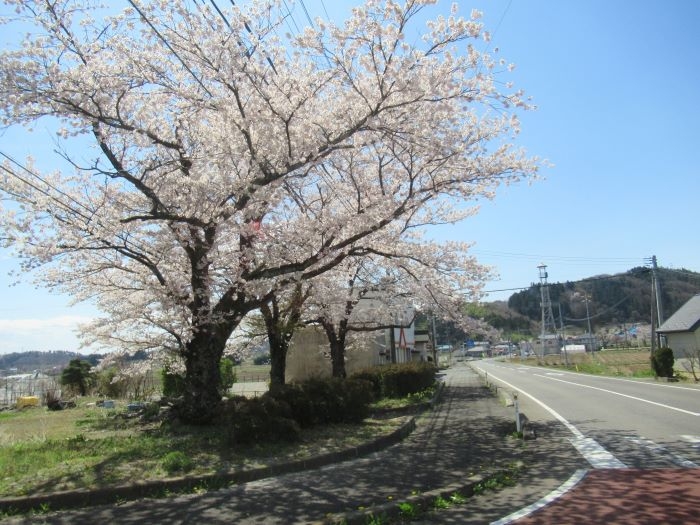 http://www.ai-ai.or.jp/mizuwa/f91c6d7e9c90be65da945b47ca998371b61e3d75.jpg